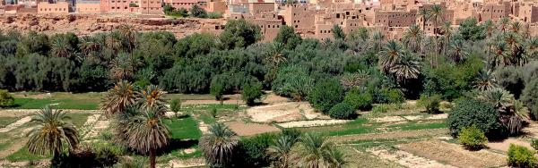 Oasis de Tinghir, Maroc. © G. Lacombe, Cirad