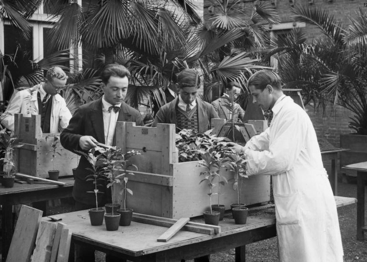 Travaux pratiques d'élèves s'initiant aux procédés d'emballage pour l'expédition de semences à longue distance, 1929. © INAC