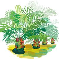 Illustration filière palmier à huile. © Delphine Guard-Lavastre, Cirad